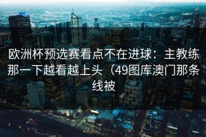 欧洲杯预选赛看点不在进球：主教练那一下越看越上头（49图库澳门那条线被