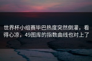 世界杯小组赛毕巴热度突然倒灌，看得心凉，49图库的指数曲线也对上了