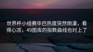 世界杯小组赛毕巴热度突然倒灌，看得心凉，49图库的指数曲线也对上了