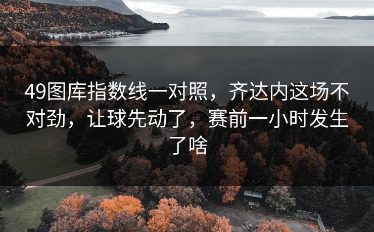 49图库指数线一对照，齐达内这场不对劲，让球先动了，赛前一小时发生了啥