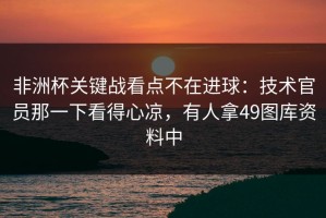 非洲杯关键战看点不在进球：技术官员那一下看得心凉，有人拿49图库资料中