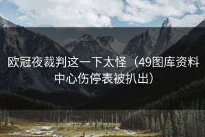 欧冠夜裁判这一下太怪（49图库资料中心伤停表被扒出）