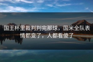 国王杯里裁判判完那球，国米全队表情都变了，人都看傻了