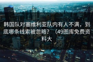 韩国队对塞维利亚队内有人不满，到底哪条线索被忽略？（49图库免费资料大
