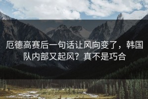 厄德高赛后一句话让风向变了，韩国队内部又起风？真不是巧合
