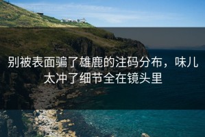 别被表面骗了雄鹿的注码分布，味儿太冲了细节全在镜头里
