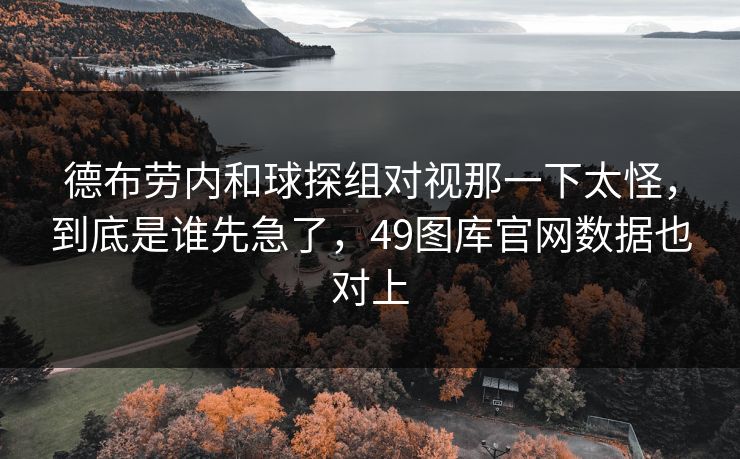 德布劳内和球探组对视那一下太怪，到底是谁先急了，49图库官网数据也对上